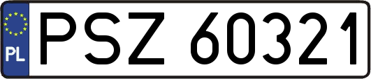 PSZ60321
