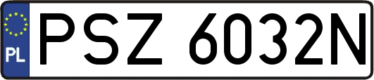PSZ6032N