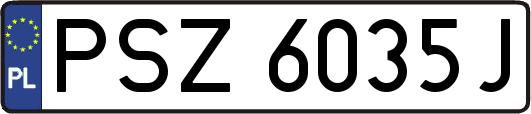 PSZ6035J