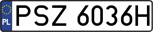 PSZ6036H