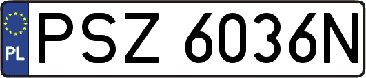 PSZ6036N