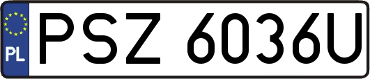 PSZ6036U