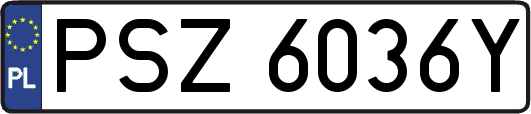 PSZ6036Y