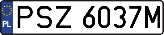 PSZ6037M