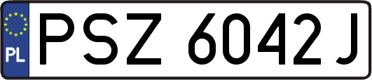 PSZ6042J