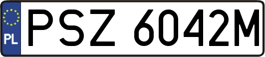 PSZ6042M