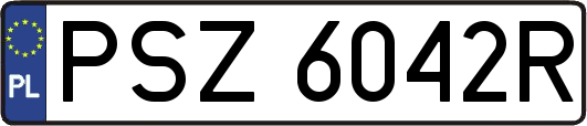 PSZ6042R