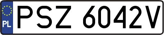 PSZ6042V