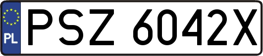 PSZ6042X