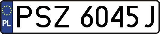 PSZ6045J