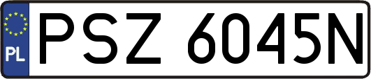 PSZ6045N