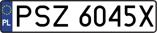 PSZ6045X