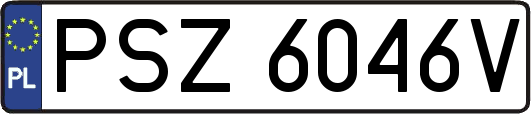 PSZ6046V