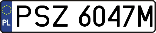 PSZ6047M
