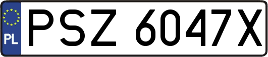 PSZ6047X