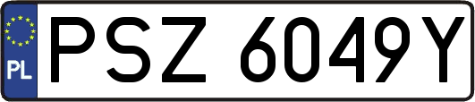 PSZ6049Y