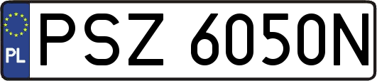 PSZ6050N