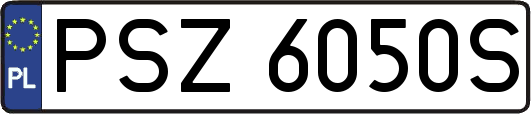 PSZ6050S