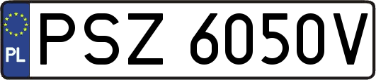 PSZ6050V