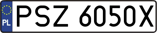 PSZ6050X