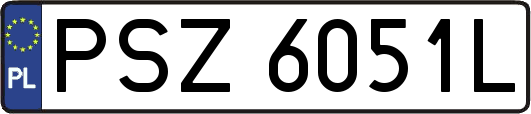 PSZ6051L