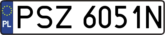 PSZ6051N