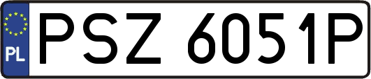 PSZ6051P