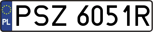 PSZ6051R
