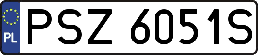 PSZ6051S