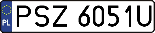 PSZ6051U
