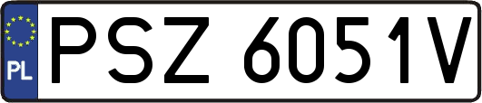 PSZ6051V