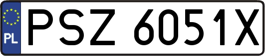 PSZ6051X