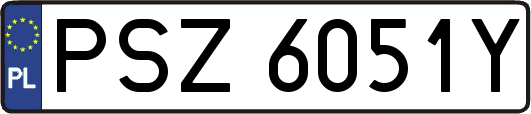 PSZ6051Y