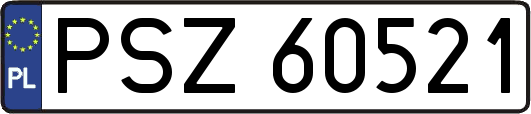 PSZ60521