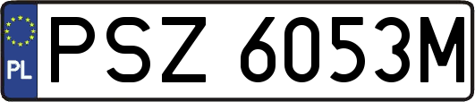 PSZ6053M