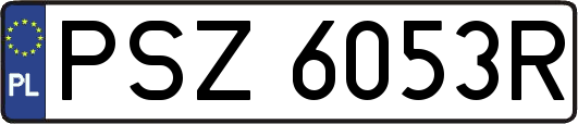 PSZ6053R