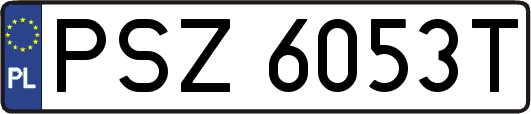 PSZ6053T