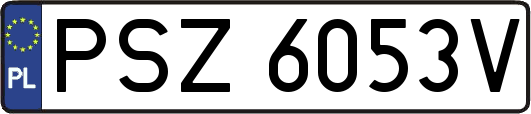 PSZ6053V