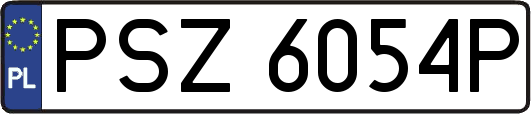 PSZ6054P