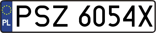 PSZ6054X