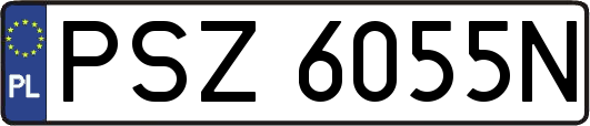 PSZ6055N