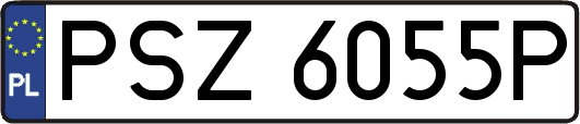 PSZ6055P