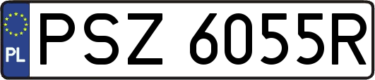 PSZ6055R