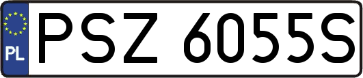 PSZ6055S