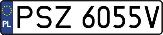 PSZ6055V