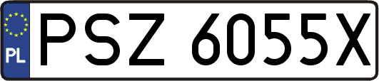 PSZ6055X
