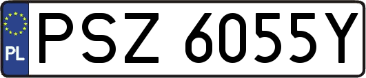 PSZ6055Y