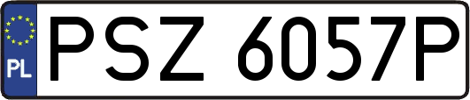 PSZ6057P