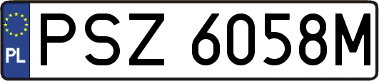 PSZ6058M