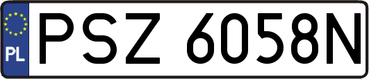 PSZ6058N